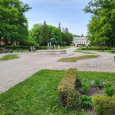 ילנייה גורה Villa Klara Cieplice מראה חיצוני תמונה