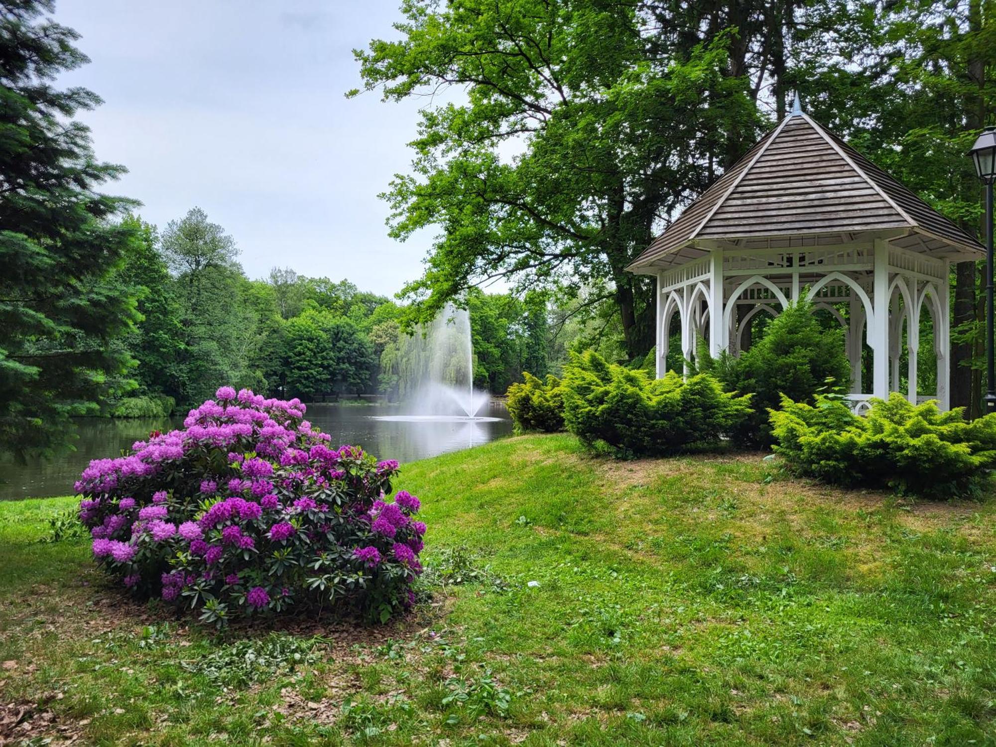 ילנייה גורה Villa Klara Cieplice מראה חיצוני תמונה